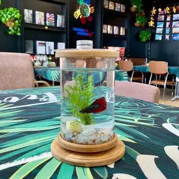 Väike Kontor, Klaasist Akvaariumi Bambusest Alus Mini Kala Kala Kaunistamiseks Kaussi P2j1